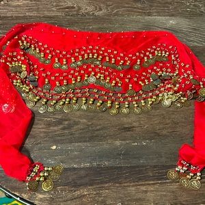 Belly Dancer Scarf/Belt